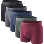5 Farvede Bambus Underbukser