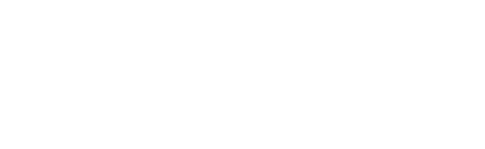 staging5october.the-basics.dk